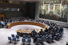 Một phiên họp của Hội đồng Bảo an Liên hợp quốc. (Nguồn: AFP/TTXVN)