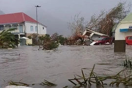 Siêu bão Irma gây lụt lội ở đảo Saint Martin, Caribe. (Nguồn: AFP)