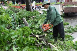 Ảnh minh họa. (Nguồn: TTXVN)
