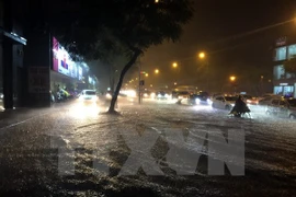 Ảnh minh họa. (Nguồn: TTXVN)