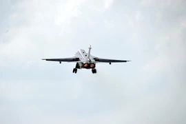 Ảnh minh họa. (Nguồn: Sputnik)