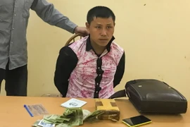 Đối tượng Thào Giàng Dua cùng tang vật bị thu giữ tại cơ quan điều tra. (Ảnh: Xuân Tư/TTXVN)