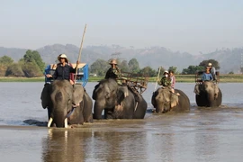 [Photo] Đắk Lắk - vùng đất đại ngàn Tây Nguyên hấp dẫn du khách 