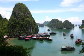 Vịnh Hạ Long. (Ảnh: Huy Hùng/TTXVN)