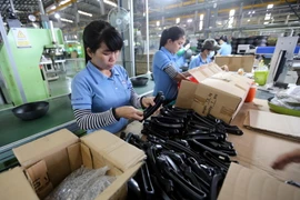 Ảnh minh họa. (Nguồn: TTXVN)