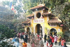 Ảnh minh họa. (Nguồn: TTXVN)