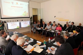 Toàn cảnh hội thảo. (Ảnh: Ngự Bình/Vietnam+)