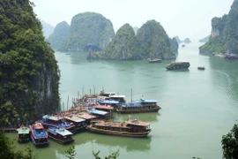 Vịnh Hạ Long. (Ảnh: Minh Đức/TTXVN)