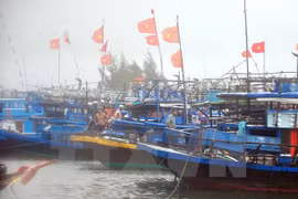 Ảnh minh họa. (Nguồn: TTXVN)