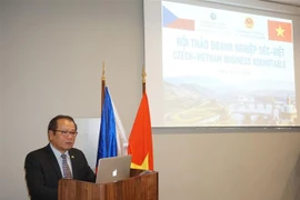 Đại sứ Việt Nam Thái Xuân Dũng phát biểu khai mạc Hội thảo. (Ảnh: Hồng Kỳ/TTXVN)