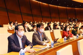 (Ảnh minh họa: Trọng Đức/TTXVN)