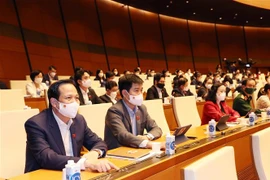 (Ảnh minh họa: Trọng Đức/TTXVN)