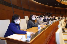 Đại biểu Quốc hội ấn nút biểu quyết. (Ảnh minh họa: Doãn Tấn/TTXVN)