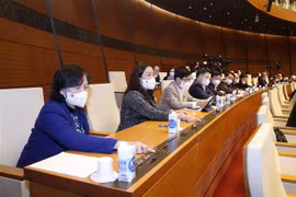 Đại biểu Quốc hội ấn nút biểu quyết. (Ảnh minh họa: Doãn Tấn/TTXVN)
