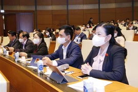 Đoàn đại biểu Quốc hội tỉnh Thái Nguyên dự phiên họp. (Ảnh: Doãn Tấn/TTXVN)