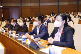 Đoàn đại biểu Quốc hội tỉnh Thái Nguyên dự phiên họp. (Ảnh: Doãn Tấn/TTXVN)