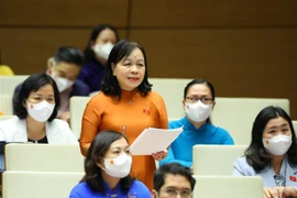 Đại biểu Quốc hội tỉnh Đồng Tháp Nguyễn Thị Mai Hoa phát biểu. (Ảnh: Văn Điệp/TTXVN)