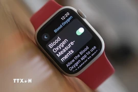 Ảnh minh họa. (Nguồn: TTXVN)