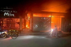 (Ảnh minh họa: TTXVN phát)