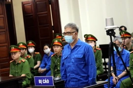 Bị cáo Đỗ Hữu Ca tại phiên tòa. (Ảnh: Đức Hiếu/TTXVN)