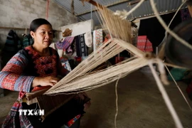 Điều chỉnh một số nội dung Chương trình phát triển kinh tế-xã hội vùng dân tộc thiểu số. (Nguồn: TTXVN)