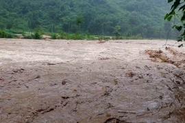 Ảnh chỉ có tính minh họa. (Nguồn: TTXVN)