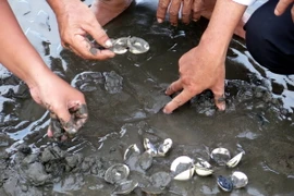 Ảnh chỉ có tính minh họa. (Ảnh: Hoàng Hải/TTXVN)