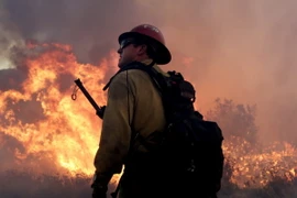 Nhân viên cứu hỏa dập lửa cháy rừng tại Los Angeles, California. (Nguồn: EPA/TTXVN)