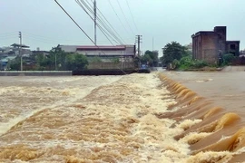 Lũ dâng cao trên sông Hà Cối. (Ảnh: Nguyễn Hoàng/TTXVN)