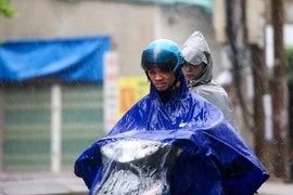 Ảnh chỉ có tính minh họa. (Nguồn: Vietnam+)