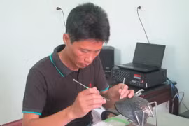 Thực hiện các công đoạn cấy ngọc trai. (Ảnh: Thùy Dung/TTXVN)