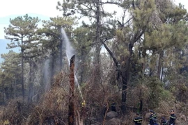 Các lực lượng chữa cháy tiếp tục dập các đám cháy nhỏ có nguy cơ bùng phát trở lại. (Ảnh: Trần Lê Lâm/TTXVN)