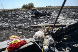 Tưởng niệm nạn nhân vụ rơi máy bay MH17 tại khu vực gần làng Hrabove, Ukraine. (Nguồn: AFP/TTXVN)