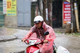 Ảnh chỉ có tính minh họa. (Ảnh: Minh Sơn/Vietnam+)