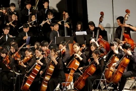 Ảnh chỉ có tính minh họa. (Ảnh: Thế Anh/TTXVN)