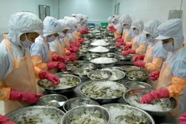 Chế biến tôm đông lạnh xuất khẩu. (Ảnh: Danh Lam/TTXVN)