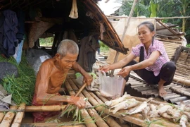 Ông Nguyễn Văn Kính (87 tuổi) đang vớt hàng trăm con cá chết từ lồng bè của gia đình. (Ảnh: Hoa Mai/TTXVN)