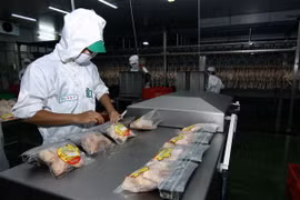 Do nguồn cung dồi dào và nhu cầu tiêu dùng không tăng nên thị trường thực phẩm sẽ ổn định vào dịp cuối năm. (Ảnh: Vũ Sinh/TTXVN)