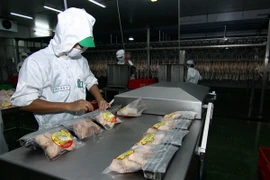 Do nguồn cung dồi dào và nhu cầu tiêu dùng không tăng nên thị trường thực phẩm sẽ ổn định vào dịp cuối năm. (Ảnh: Vũ Sinh/TTXVN)