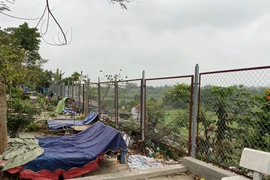 Ảnh chỉ có tính chất minh họa. (Nguồn ảnh: HV/Vietnam+)