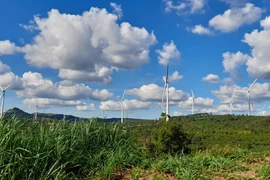 Ảnh minh họa. (Nguồn: Hùng Võ/Vietnam+)