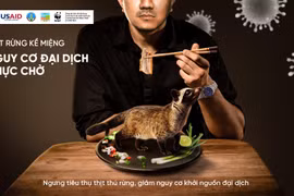 Dừng tiêu thụ thịt rừng để giảm các nguy cơ khởi nguồn dịch bệnh. (Nguồn ảnh: WWF-Việt Nam)