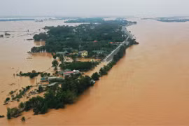 Ảnh minh họa. (Nguồn: TTXVN)