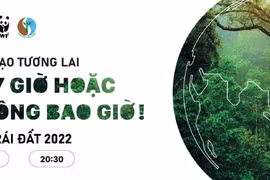 Giờ Trái Đất năm 2022: Tắt đèn - cùng hành động, 'bật sáng' tương lai