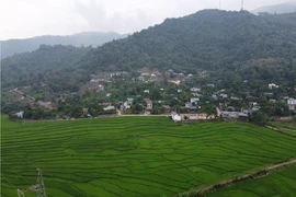 Ảnh minh họa. (Nguồn ảnh: TTXVN)