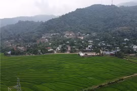 Ảnh minh họa. (Nguồn ảnh: TTXVN)