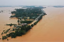 Ảnh chỉ có tính chất minh họa. (Nguồn ảnh: Hồ Cầu/TTXVN)