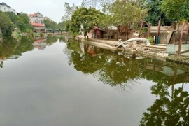 Một góc khu vực hồ Bà Đồ thuộc phường Ngọc Thụy, quận Long Biên, thành phố Hà Nội. (Ảnh: PV/Vietnam+)
