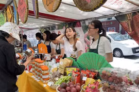 Ảnh chỉ có tính minh họa. (Ảnh: Nguyễn Thu Hà/TTXVN)