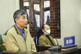 Bị cáo Đinh Văn Hữu. (Ảnh: Xuân Tư/TTXVN)